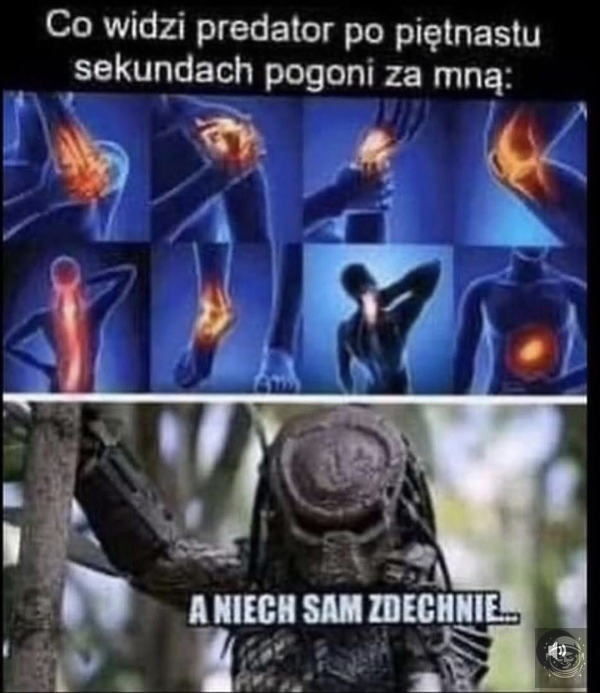 Aua