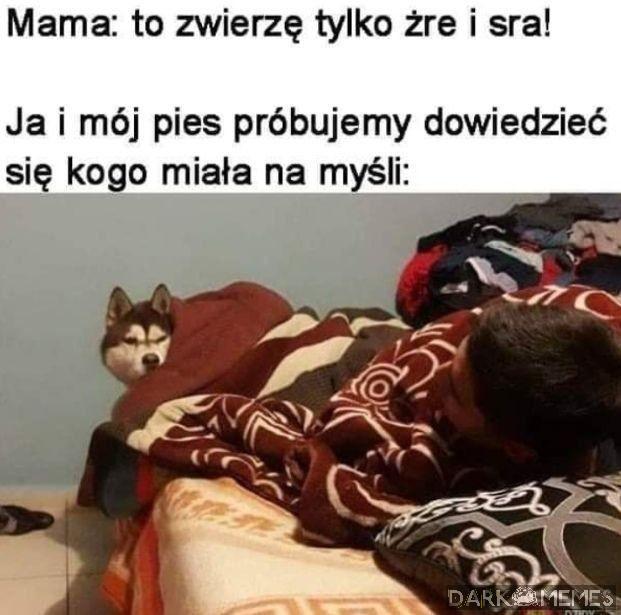 O co wam chodzi?