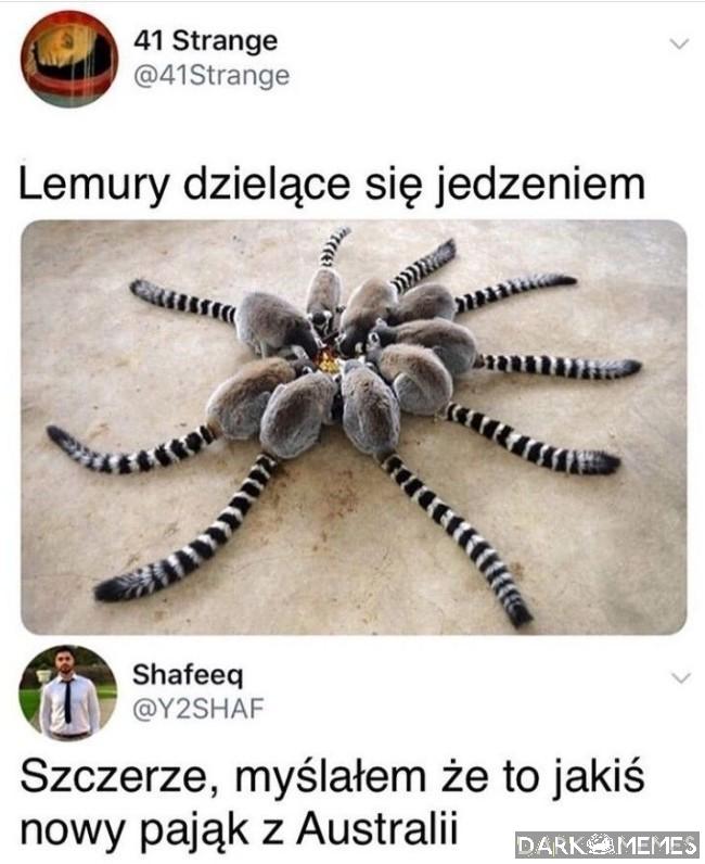 Złudzenie optyczne