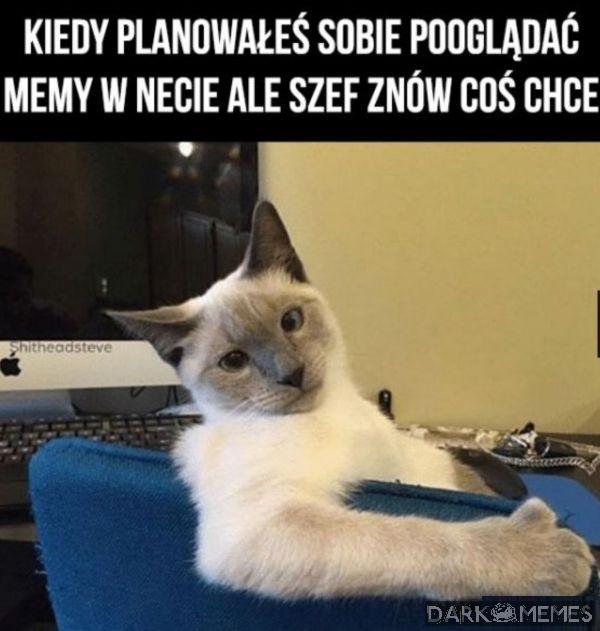 Czego znowu