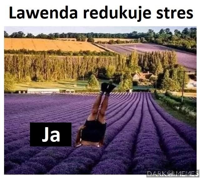 Przydało by się