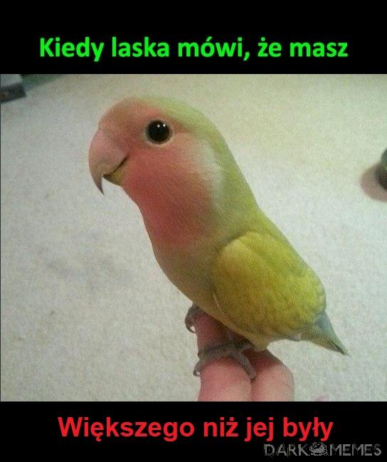 Mmmm jaki duży :) 