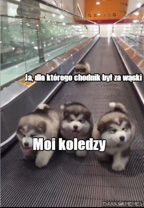 Kiedyś miałem kolegów