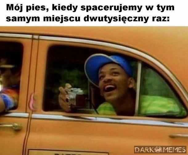 Spacer