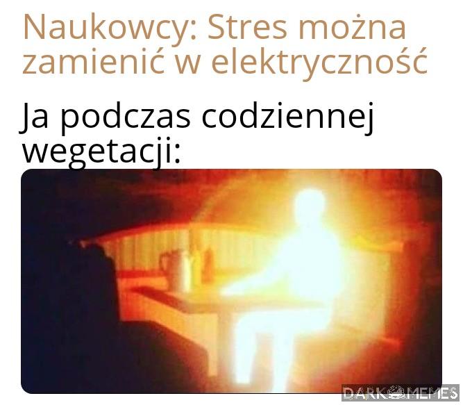 Ważne żeby nie cierpieć znaczy jak najmniej