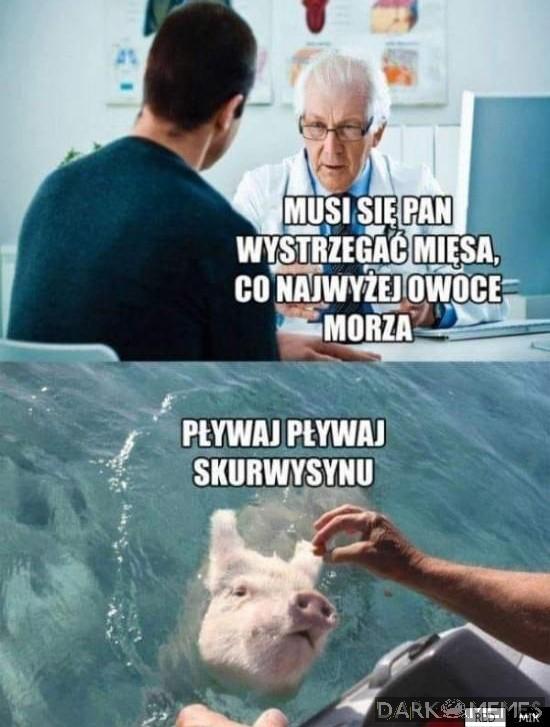 Dieta