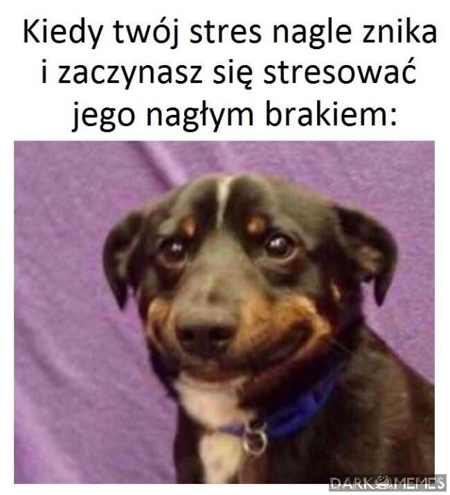 Co się dzieje?