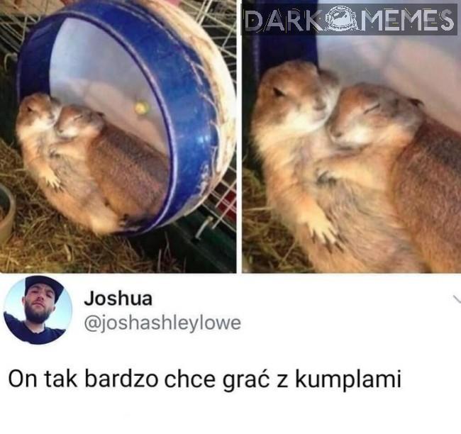 Mina mówi wszystko