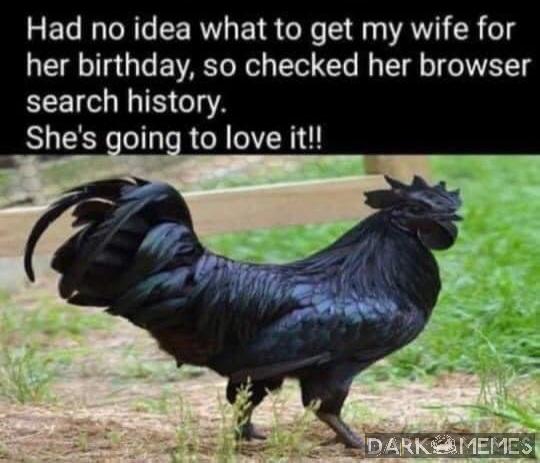 Black Cock