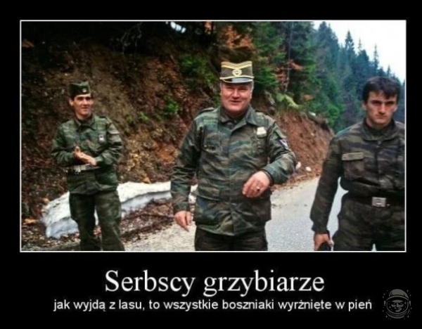 Na grzyby!!!