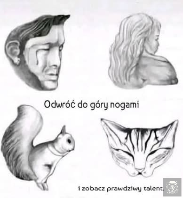 Ciekawe