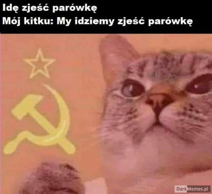 Kotunista