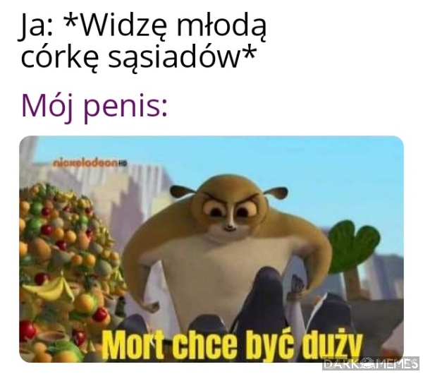 Wzwód