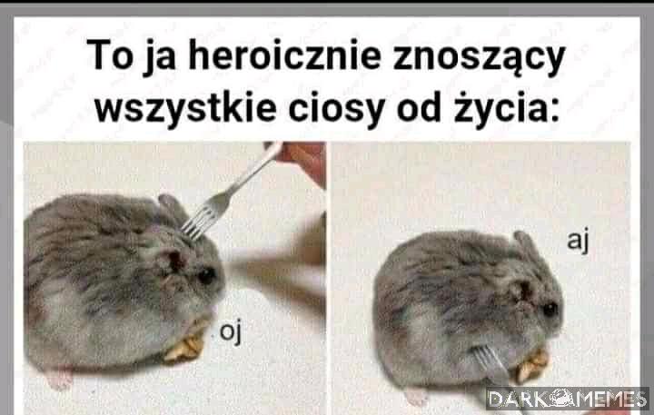 Tak to wygląda 