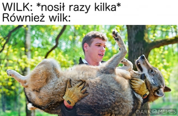 Przysłowie