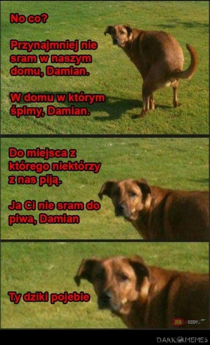 Jbzdy