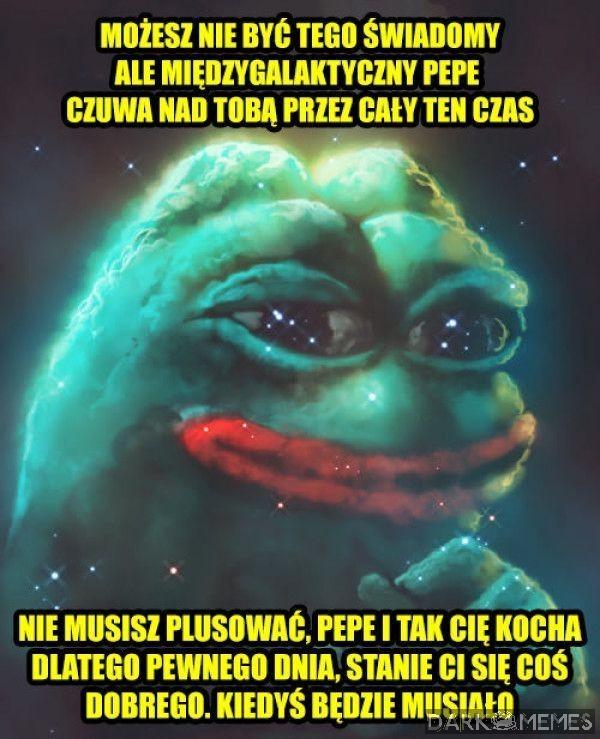 Tu są plusy czy lajki?