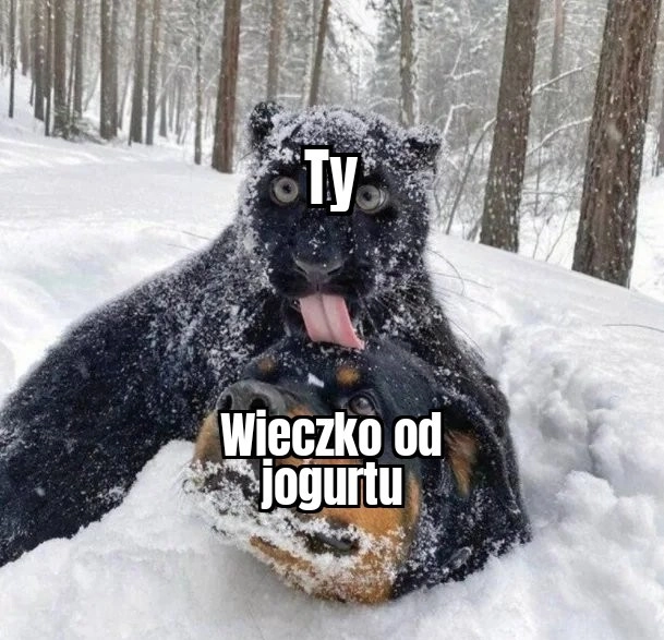 Nie wiem co tu dać