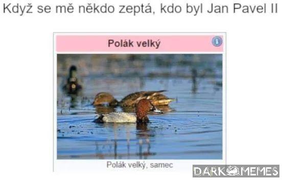 Velki