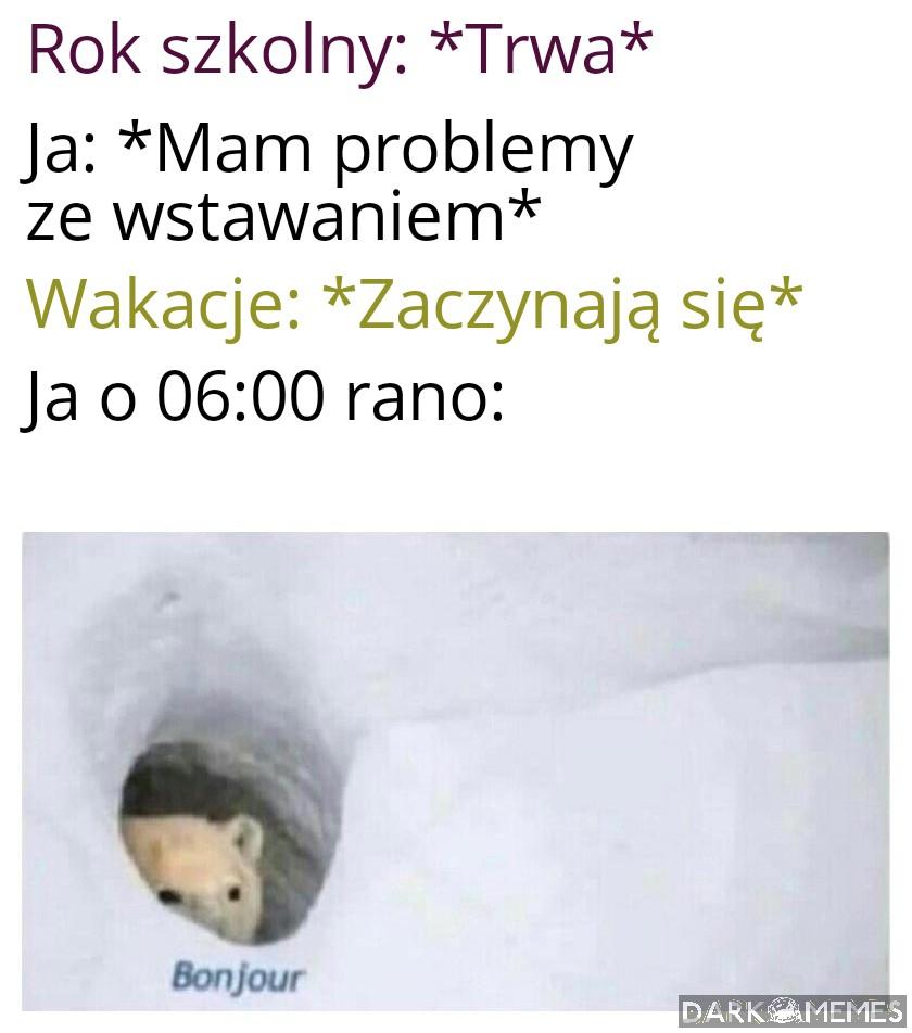 Dzień dobry