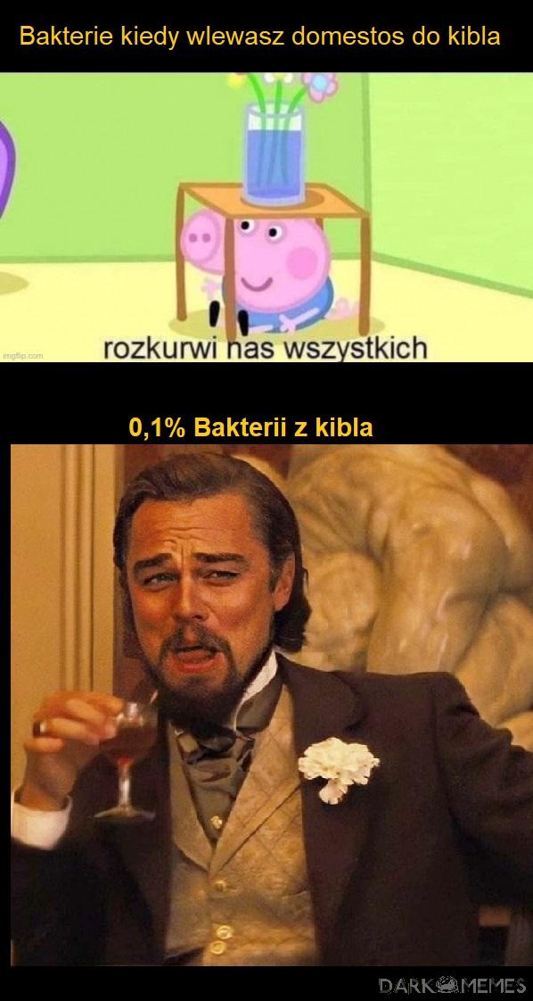 Wymyśliłam to na kiblu 