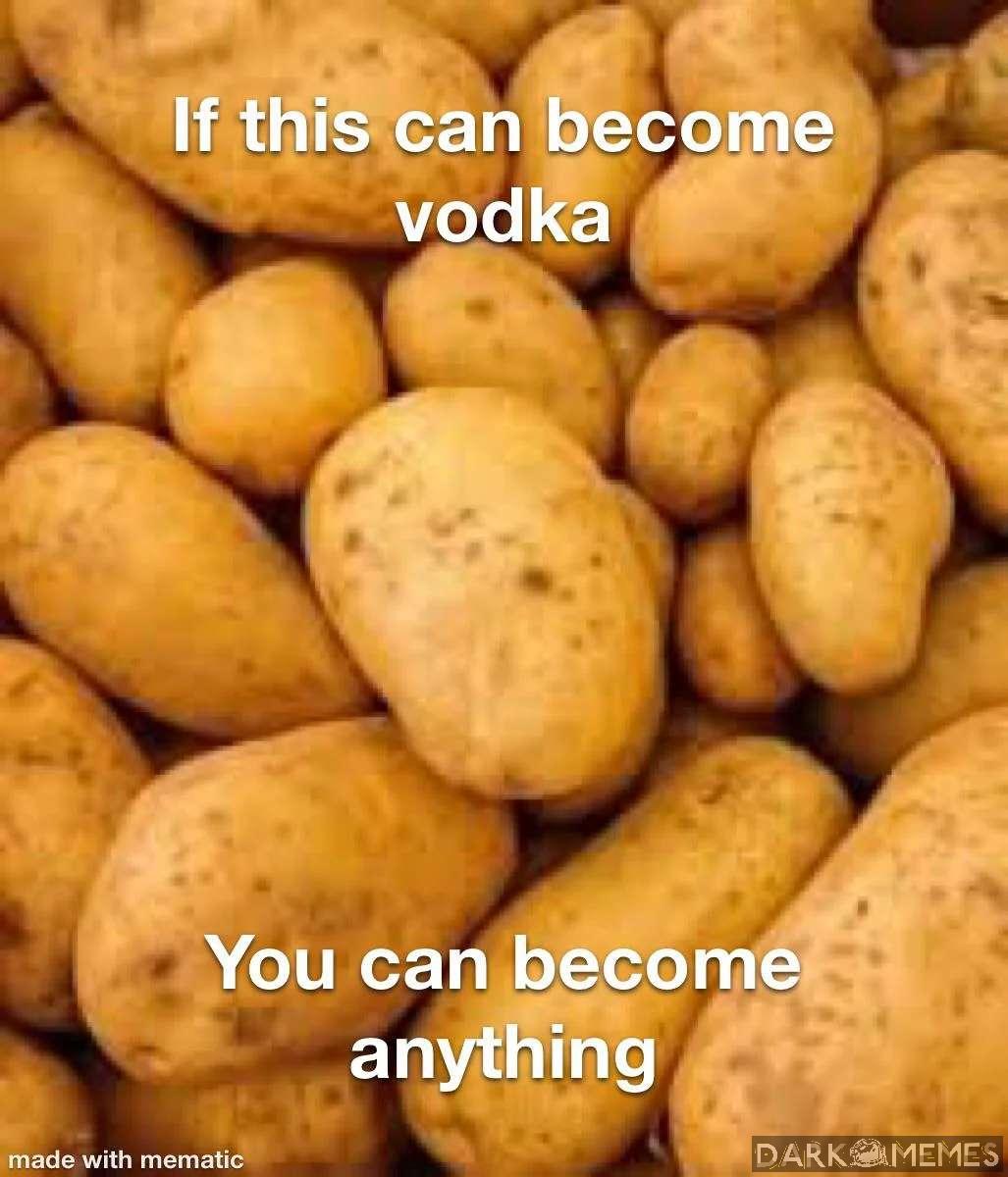 Vodka