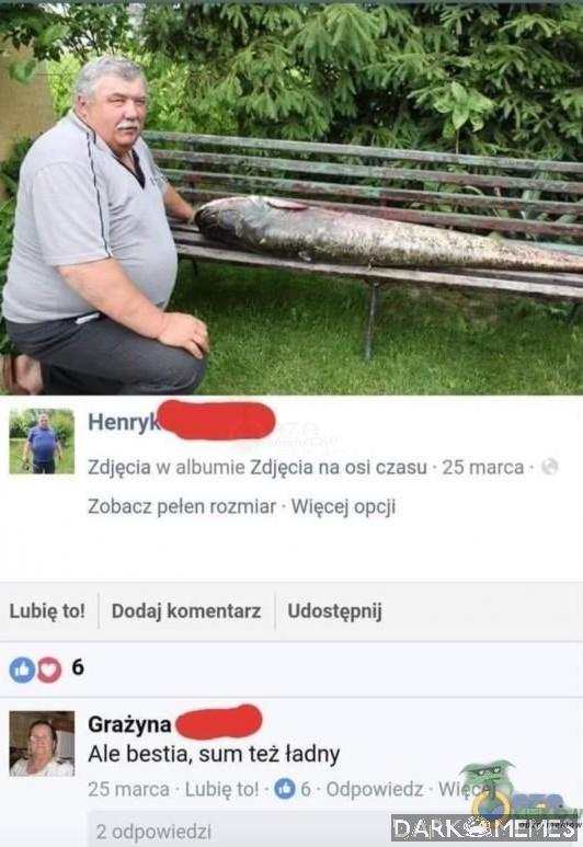 Komentarz