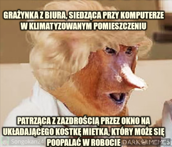 Taki to ma dobrze, wygrzeje się, opali...