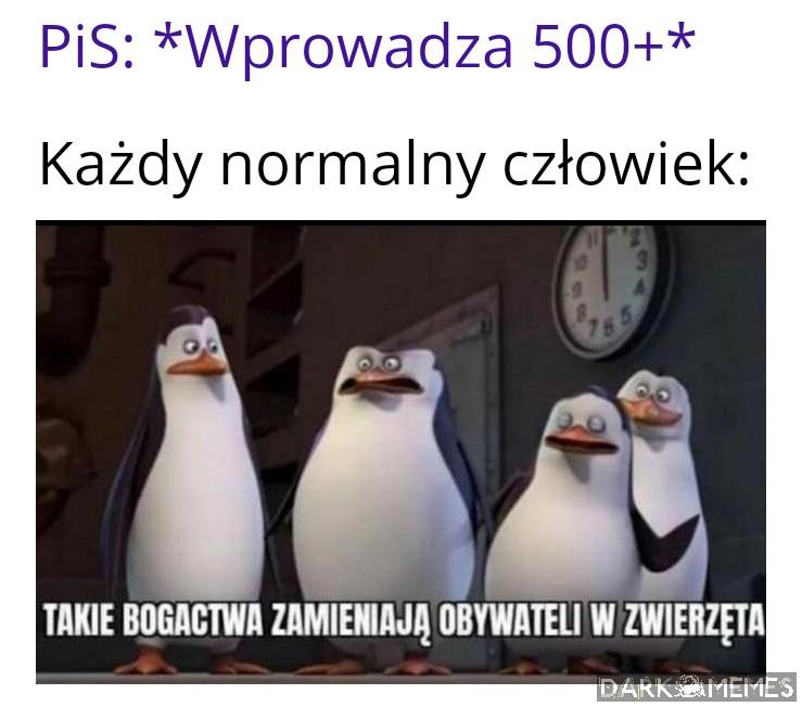 Idioci