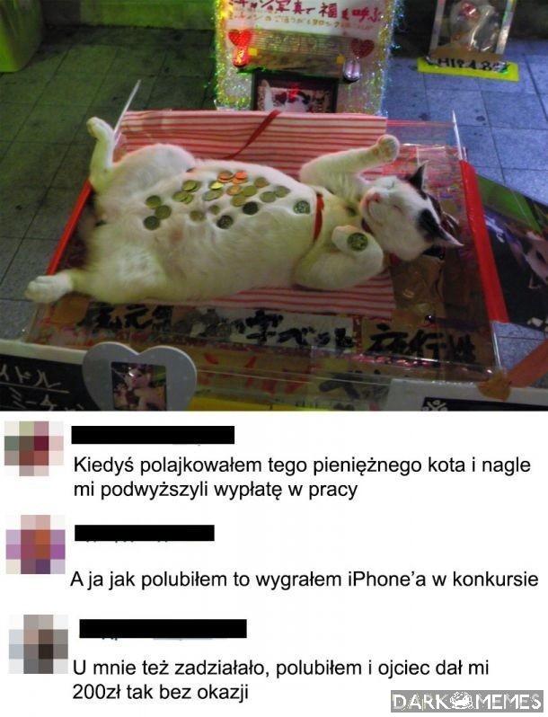 Warto spróbować