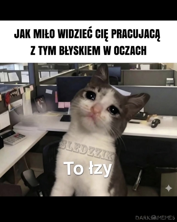Codziennie w pracy:( 