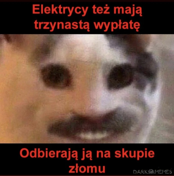 Ekektrycy
