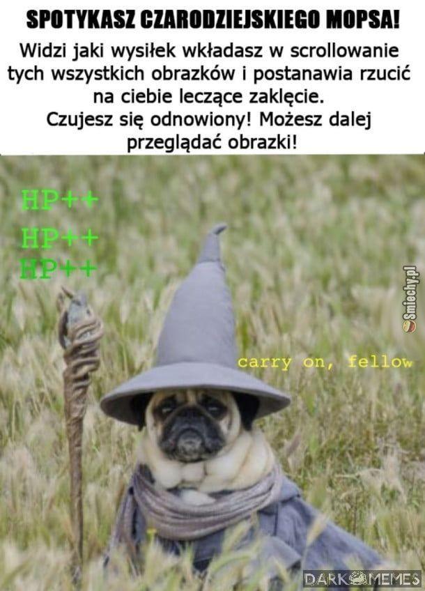 I tego wam życzę...