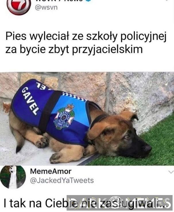 Zwyrole...