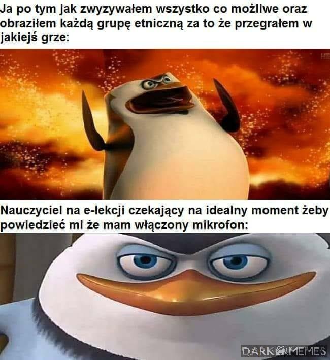 Jebać co się da 