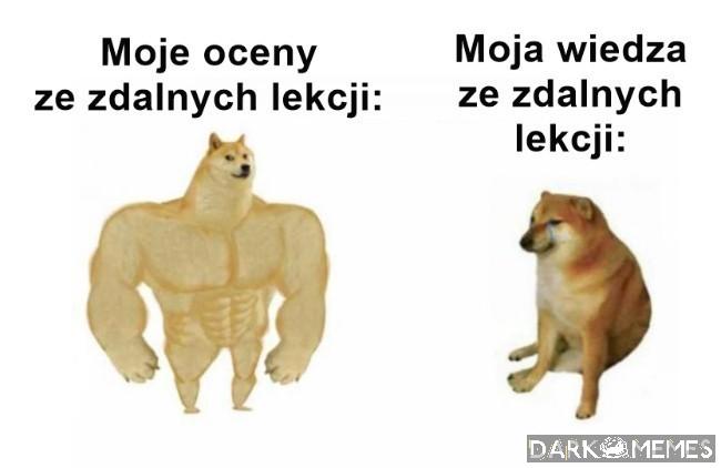 Debile tak mają