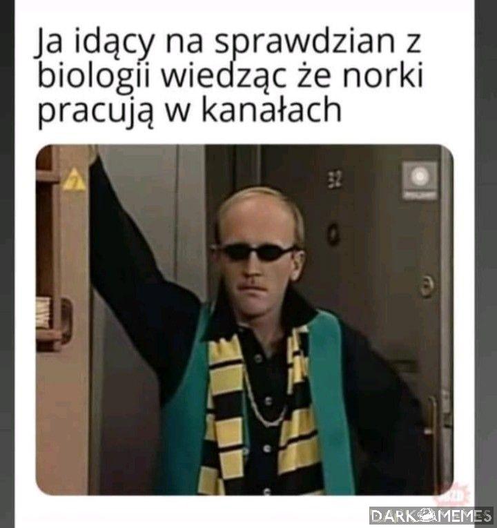 Norki