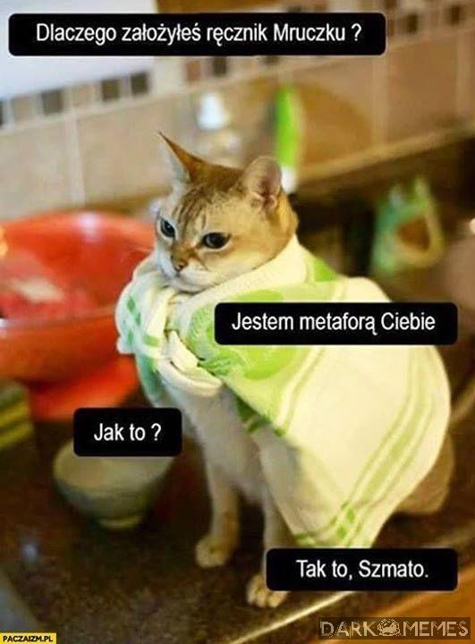 Ścierka