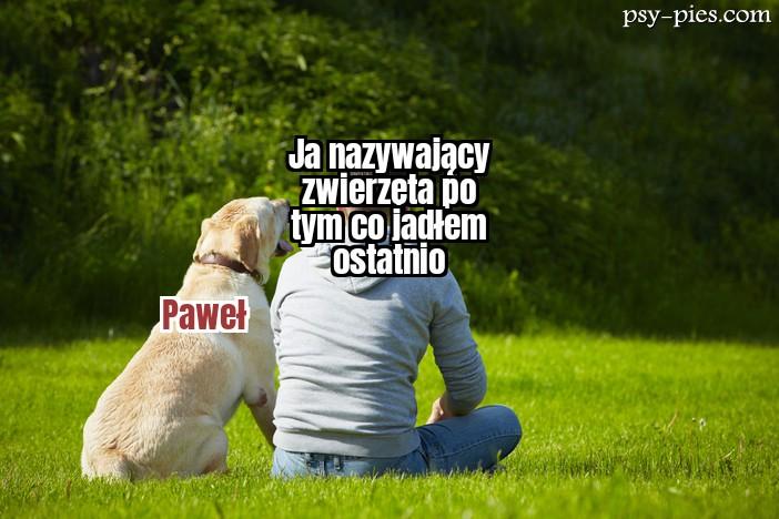 Kanibalizm z coś