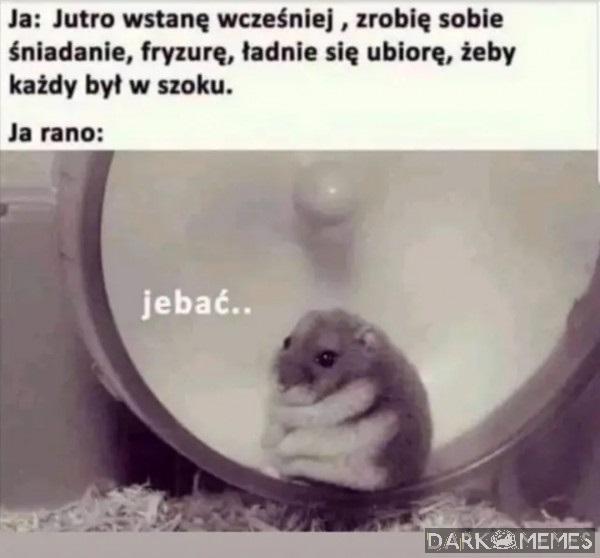 Jebać