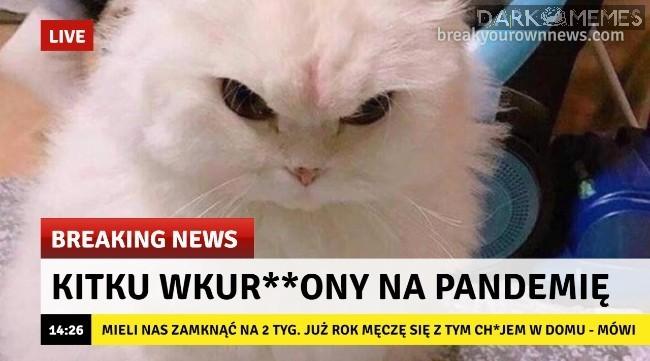 Co on tu mieszka?