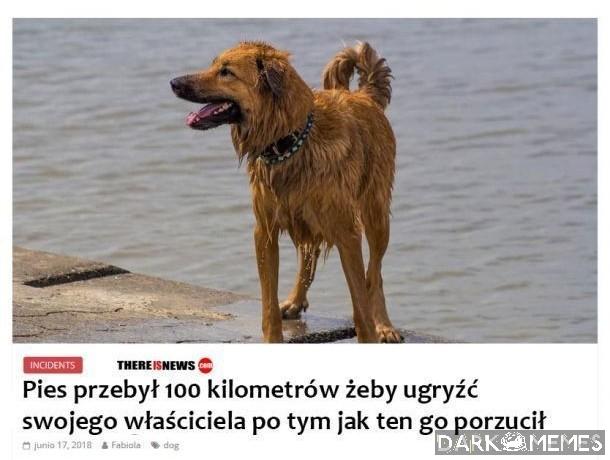 Mi by się nie chciało