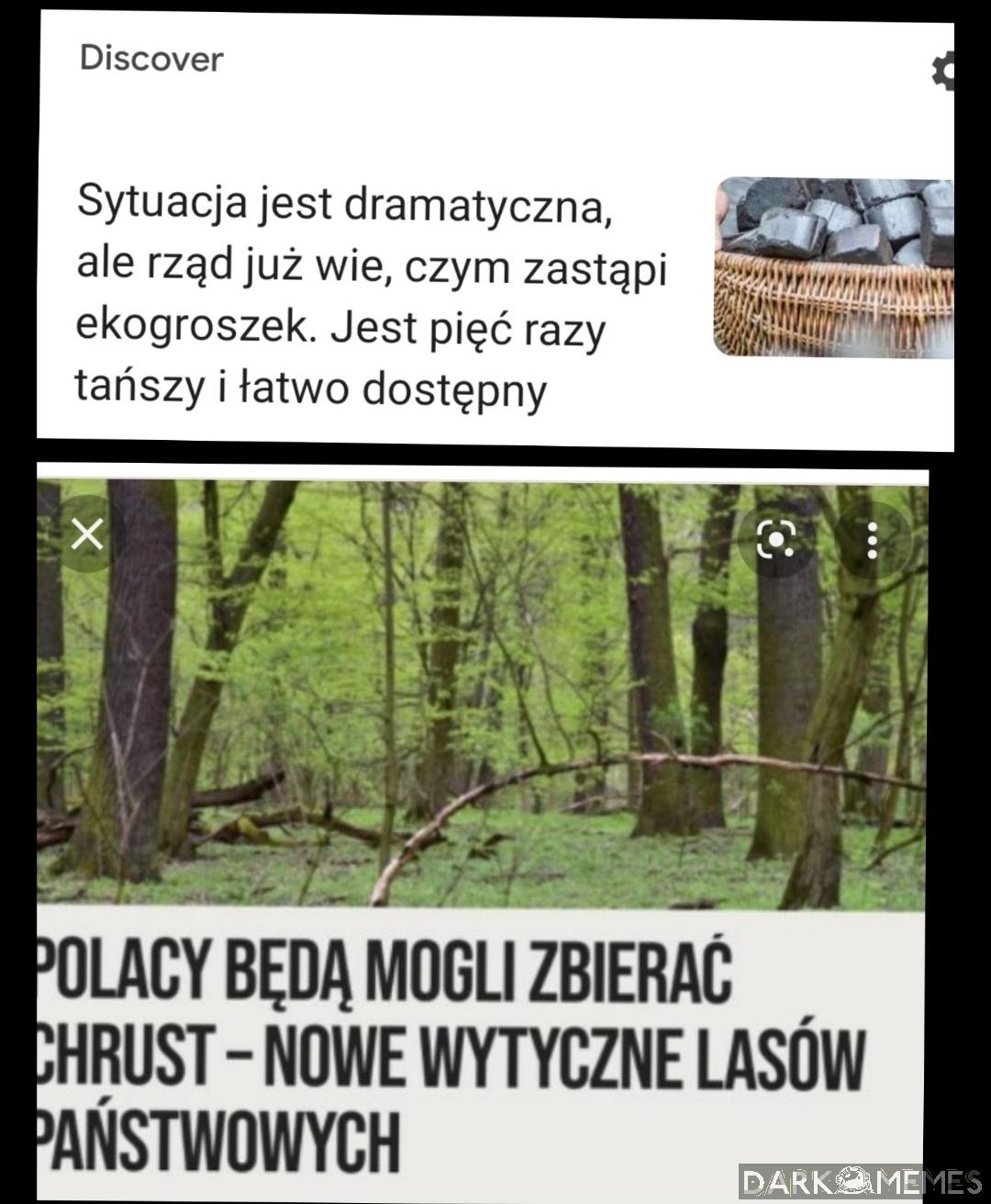 Dzięki pan mateusz