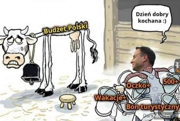 Dobra krówka xD