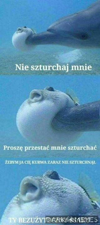 Kurwa