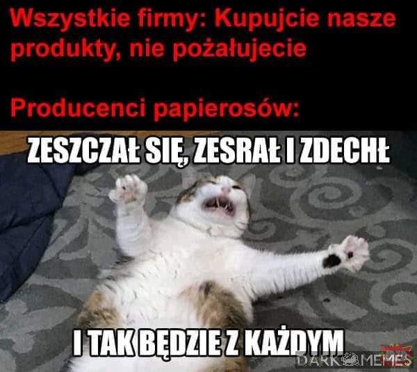 Łutyt