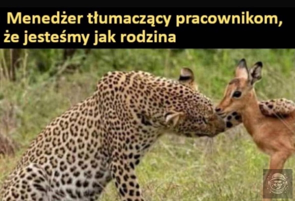 tak