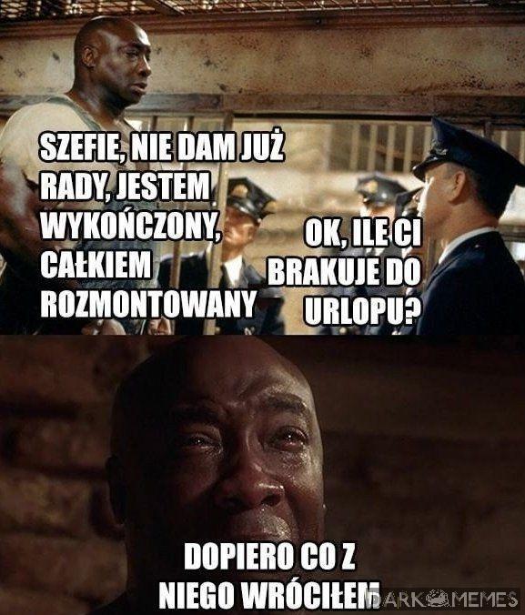 Jeszcze rok