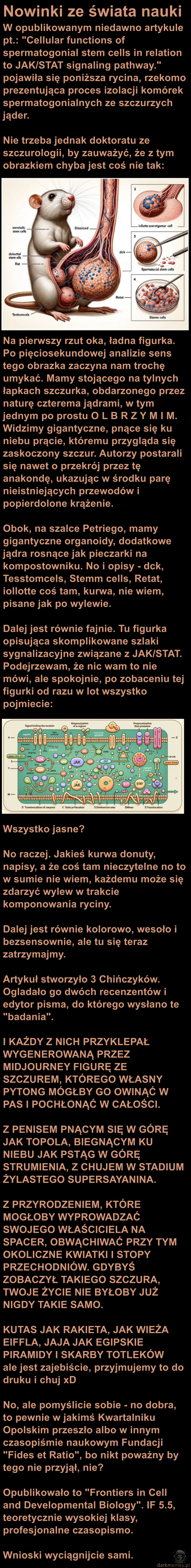 Szczurek z wielkim chujem