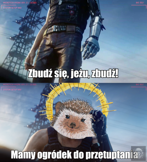 Dobry Jeż Anaszpan